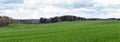 Panorama of a large green hilly agricultural field over a cloudy sky.