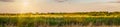 Panorama of a Large mown meadow in front of a forest Royalty Free Stock Photo