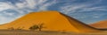 Panorama from the large sand dune 45 at Sossusvlei during sunrise with a couple on the top Royalty Free Stock Photo