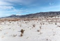 Panorama of large snow covered mountain range with cactus in front Royalty Free Stock Photo