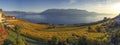 Panorama on Lavaux region, Vaud, Switzerland Royalty Free Stock Photo