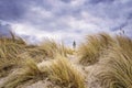 Panorama from the lighthouse in WarnemÃÂ¼nde behind the dune grass Royalty Free Stock Photo