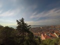 Panorama lisbon sea front, nature, tree Royalty Free Stock Photo