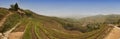 Panorama of long ji rice terrace