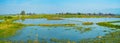 Panorama of lotus farm, Inpawkhon, Inle Lake, Myanmar