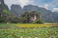 The panorama of lotus ponds in peaceful and quiet countryside. This is the flower of the Buddha and is useful for human