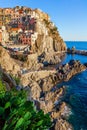 Panorama of Manarola in Cinque Terre, La Spezia. Colorful buildings near the ligurian sea. View on the prickly pear cactus on the Royalty Free Stock Photo