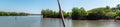 Panorama of mangrove trees growing by the riverside in a blue river, Ngwesaung, Myanmar Royalty Free Stock Photo