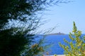 Close-up of Maquis Shrubland and in the Background the Island of Females, Isola delle Femmine, Palermo, Sicily, Italy, Europe