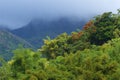 Panorama of Martinique, Caribbean Royalty Free Stock Photo