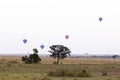 Panorama of Masai Mara in the morning. Balloons over the savanna. Kenya Royalty Free Stock Photo