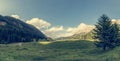 Panorama of meadow surrouned by forest. Royalty Free Stock Photo