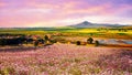 Panorama meadows grassland, Hebei, China Royalty Free Stock Photo