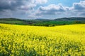 Panorama of the meadows with a plant in a valley with fields against the background of the daytime sky in Bulgaria Royalty Free Stock Photo