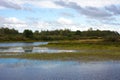 Panorama meander river with reed on northern part of Ukraine, Sumy region. Riparian vegetation Salix sp. Flooded meadow