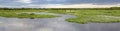 Panorama of meandering river and green water plants in the North Pantanal Wetlands, Mato Grosso, Brazil Royalty Free Stock Photo