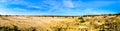 Panorama of the mini desert Beekhuizerzand in the Hoge Veluwe nature reserve