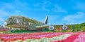 Panorama of Miracle Garden with Emirates A380 plane, Dubai, UAE Royalty Free Stock Photo