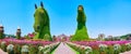 Panorama of Miracle Garden with horse installations, Dubai, UAE