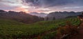 Panorama misty morning sunrise in strawberry garden at doi angkh