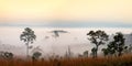 Panorama misty morning sunrise at Thung Salang Luang National Park Phetchabun,Thailand