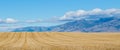 Panorama of Montana hay field with mountains in the distance Royalty Free Stock Photo