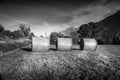 meadows and countryside in black and white in autumn