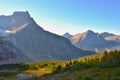 Panorama of Mount Edith Cavell. High mountains with glacier, sun rays illuminate the forest.