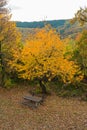 Panorama of Mount Fruska Gora in the fall