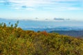 Panorama of Mount Fruska Gora in the fall