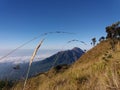 panorama of Mount Merapi and the savanna on Mount Merbabu