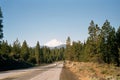 Panorama at Mount Shasta, California Royalty Free Stock Photo