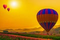 Panorama of mountain and cosmos flower field with hot air balloons at sunset in Thailand. Royalty Free Stock Photo