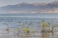 Panorama of a mountain lake