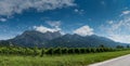 Panorama mountain landscape with many rows of Pinot Noir grapevines in the foreground Royalty Free Stock Photo