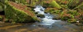 Panorama of mountain stream in autumn Royalty Free Stock Photo