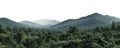 AI generated: panorama of the mountains with many trees, rainforest isolated on white or transparent png Royalty Free Stock Photo