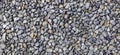 Multi-colored pebbles floor pattern and background seamless