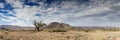 Panorama of the Namib desert