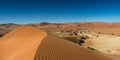 Panorama of the Namib desert