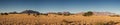 Panorama of the Namib desert