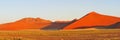 Panorama of the Namib near Sossusvlei