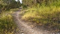 Panorama Narrow dirt road amid grasses and trees with view of bright sky overhead