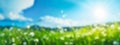 panorama of natural grass field in summer park background with blurred bokeh and sun