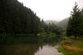 Panorama of natural landscape with lake, forest and mountains in a rainy day background. Foggy morning with mountains and forest. Royalty Free Stock Photo