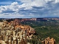 Panorama of Nature`s Contrasts in Bryce Canyon