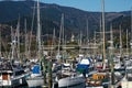 Panorama of Nelson City with the marina and boats in the foreground, New Zealand