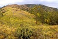 Nice view of the hills overgrown with golden autumn forest