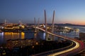 Panorama of night Vladivostok Royalty Free Stock Photo