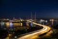 Panorama of night Vladivostok. Royalty Free Stock Photo